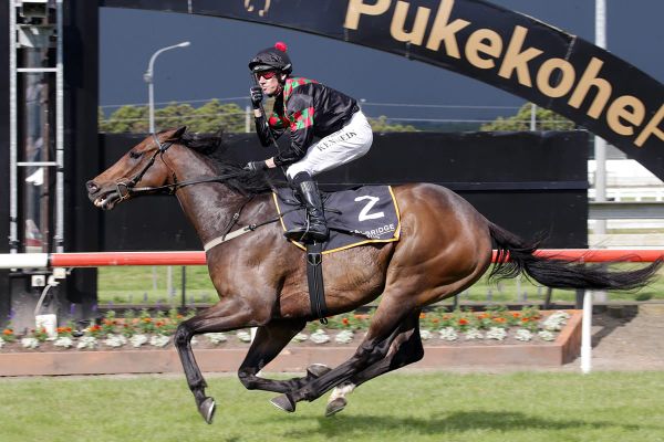 Defibrillate vying for back-to-back Group Ones