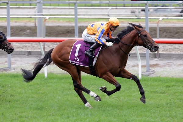 Derby trip a plus for Dynastic