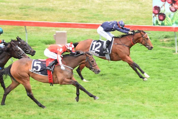 <strong>Hyspec to make raceday return</strong>