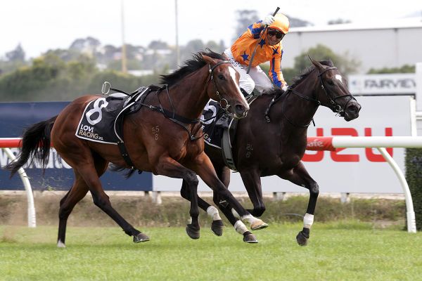 Imperatriz the Queen of Te Rapa