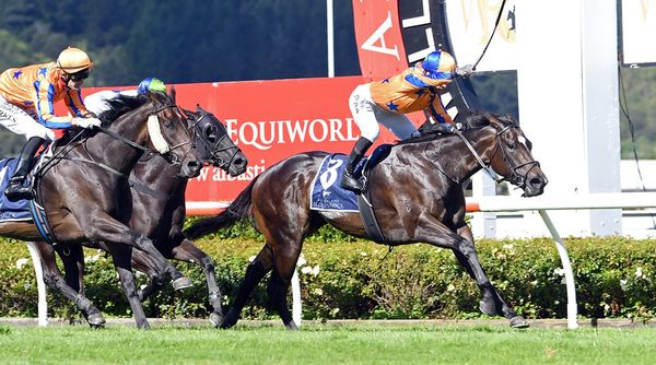 Imperatriz thriving ahead of BCD Group Sprint