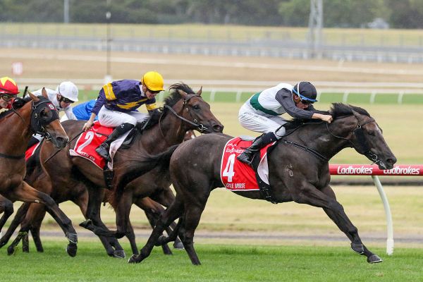 Little Brose set to bounce back