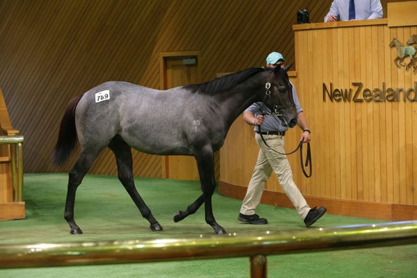 International Buyers Lead Book 2 Opening Session