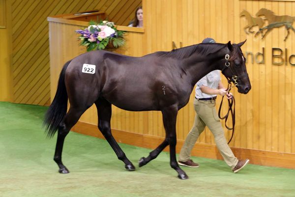 Hong Kong active on second day of Book 2