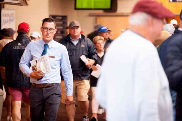 Kane Jones Appointed Bloodstock Sales Manager