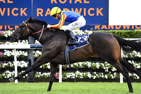 Po Kare Kare scores breakthrough Group win