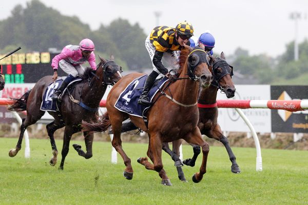 Weather puts Sydney on radar for smart filly