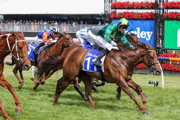 Roch ‘N’ Horse back on track