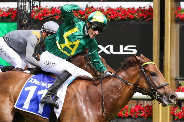 Oakleigh Plate option for Roch 'N' Horse