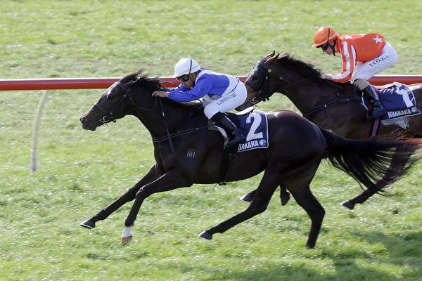 Top three-year-old planning Aussie raid