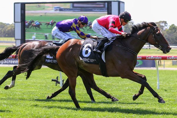 So Unusual how career has evolved