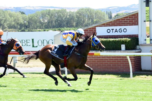 Guineas winner back on track for Group One test