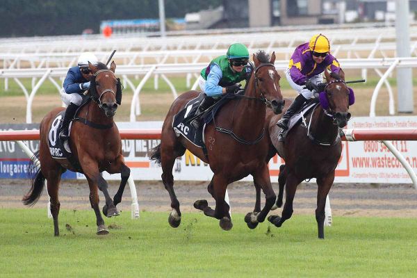 Track conditions could dictate programme for Robinson filly