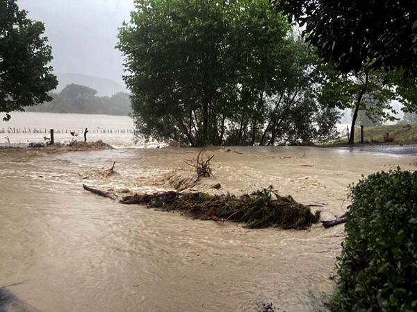 Industry gets behind cyclone support