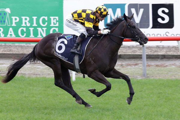 Zourion to relish Guineas mile