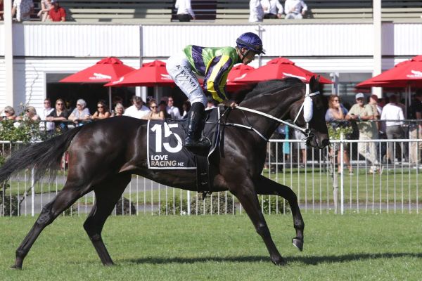 Derby runner-up heading to Sydney