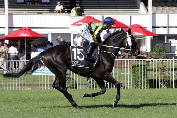 Marsh eyes trans-Tasman Group One double