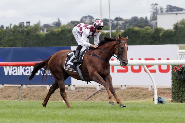 Babylon bridesmaid no more