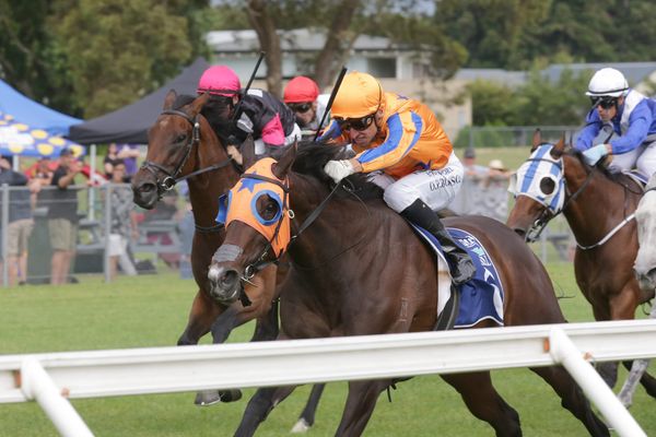 Freshened Campionessa tackles Sunline Stakes