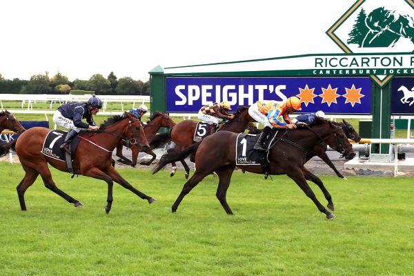 Champagne Stakes option for Cu Chulainn