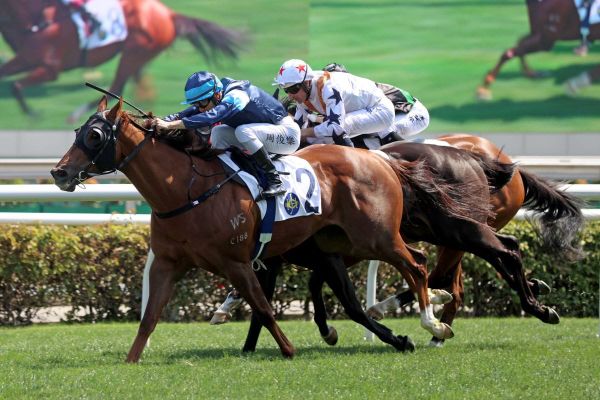 Possible Dubai trip for Duke Wai