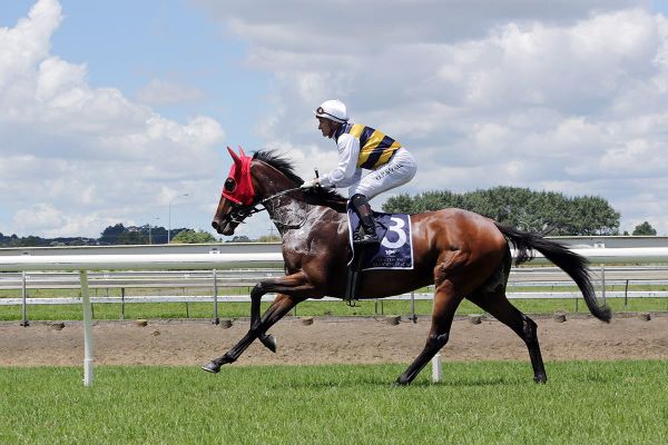 Australian Derby in the crosshairs of OTI Racing