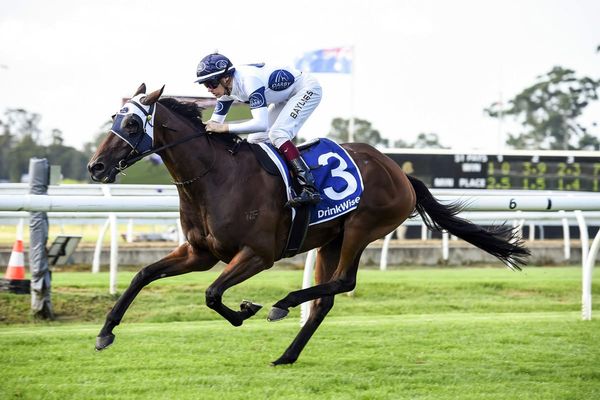 Australian syndicator seeking autumn gold with Kiwi import