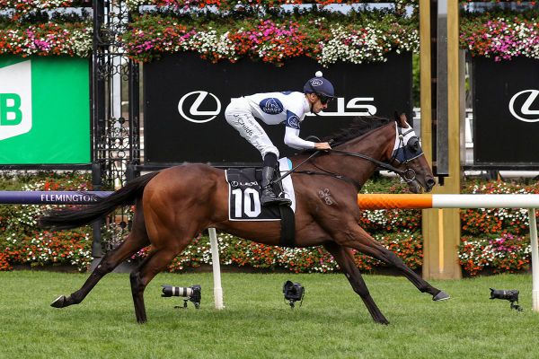 Goldman earns golden Melbourne Cup ticket