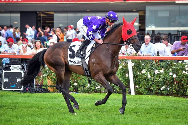 Moroney more than happy with Kiwi contenders