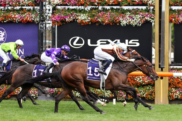 Legarto set for Flemington return