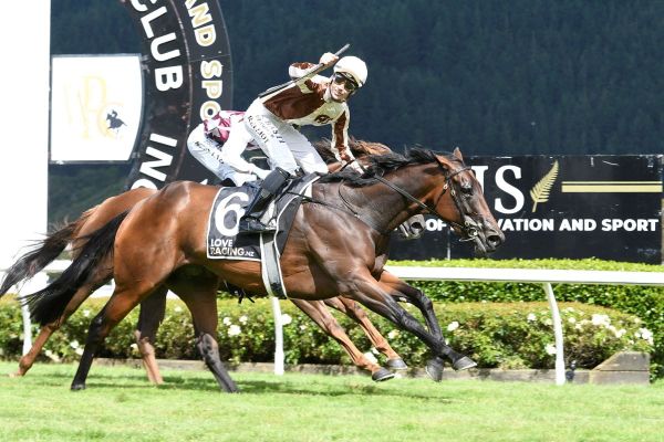 <strong>Valiant Levante on target for Randwick test</strong>