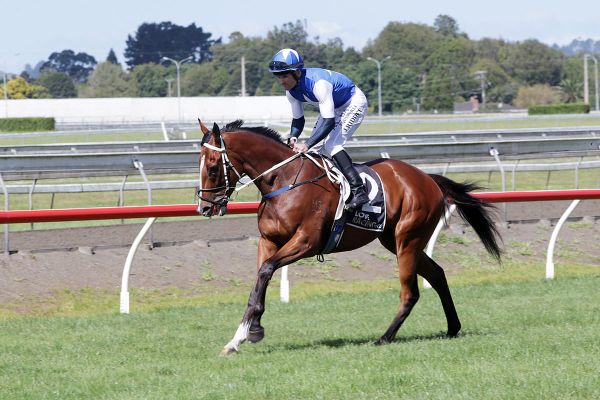 <strong>Racing success making up for sale setback</strong>