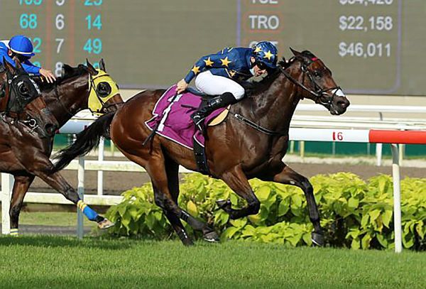 Lim’s Kosciuszko reigns supreme at Singapore Racing awards