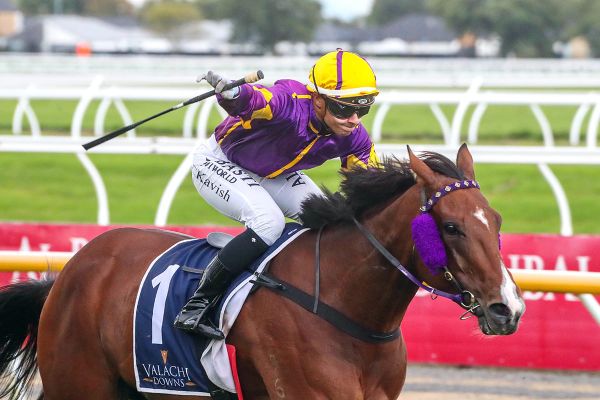 No drama for leading southern mare