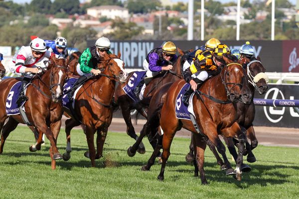 Not An Option back in the winner’s circle