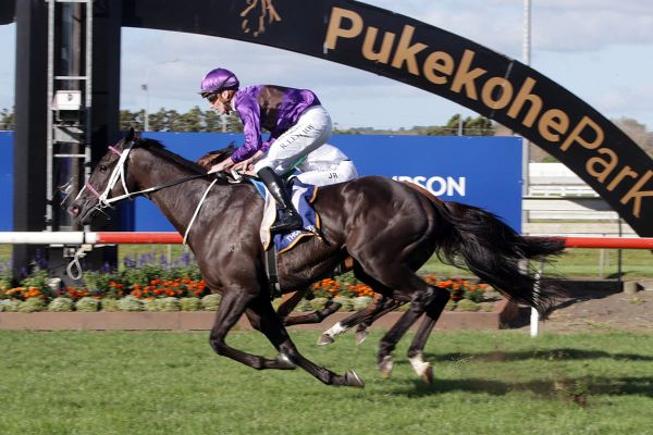 Platinum Invador upsets in Auckland Cup