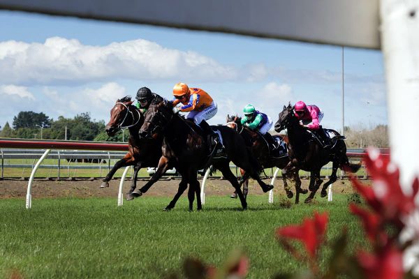 “Gutted” Walker puts faith in Imperatriz