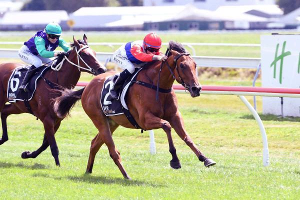 Riproar shoots for Valley success