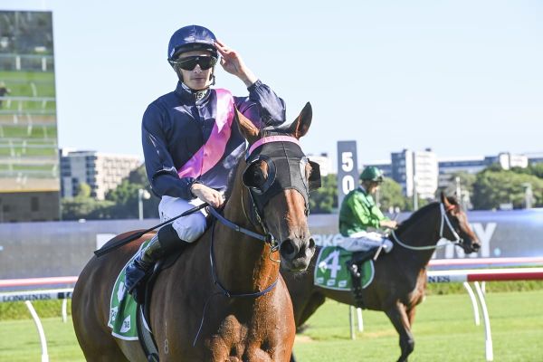 Black-type goal for emerging Sanstoc