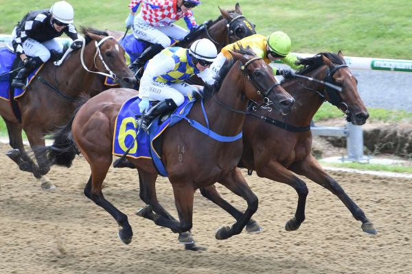 <strong>Wood has eyes on multiple venues</strong>