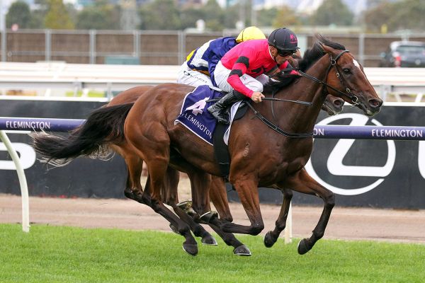 Four in a row for So Unusual