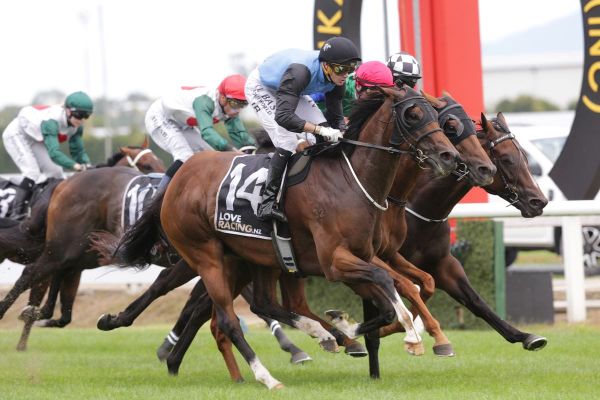 Confidence boosting win for Tevere