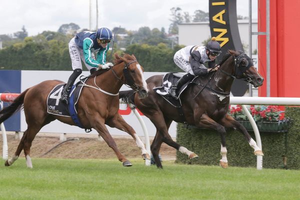 <strong>Pinn seeking further Group One success</strong>