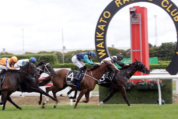 The Intimidator claims Mufhasa Stakes