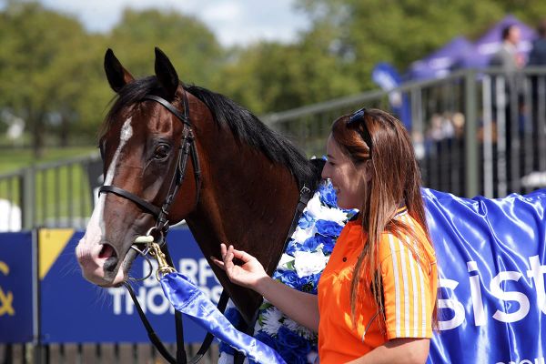 <strong>Tokyo Tycoon returns post-race positive</strong>