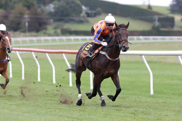 <strong>Trobriand thriving ahead of Sires’ Produce</strong>