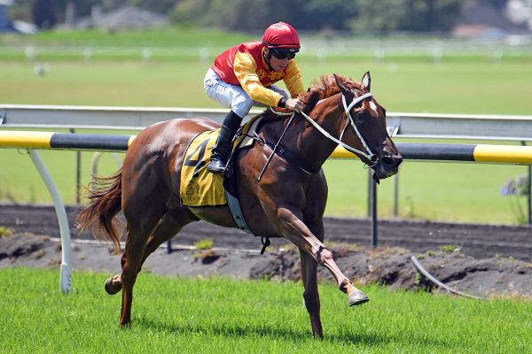 Ulanova to tackle Quezette Stakes