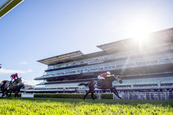 Waller favouring Rose for Militarize