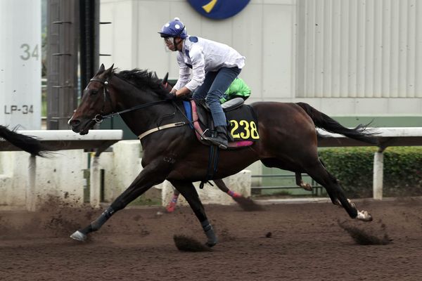 Golden Sixty trials with sights on a third straight FWD Champions