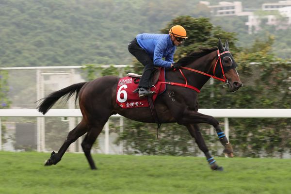 Lucky Sweynesse chases HK$5 million Speed Series bonus